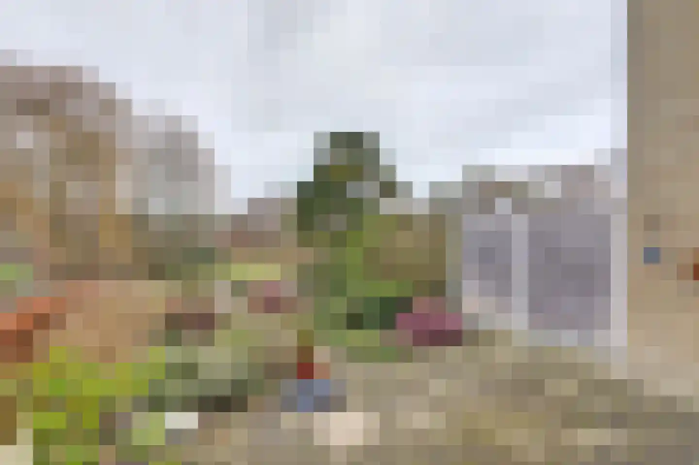 Trasmolen 50 Papendrecht thumbnail 32