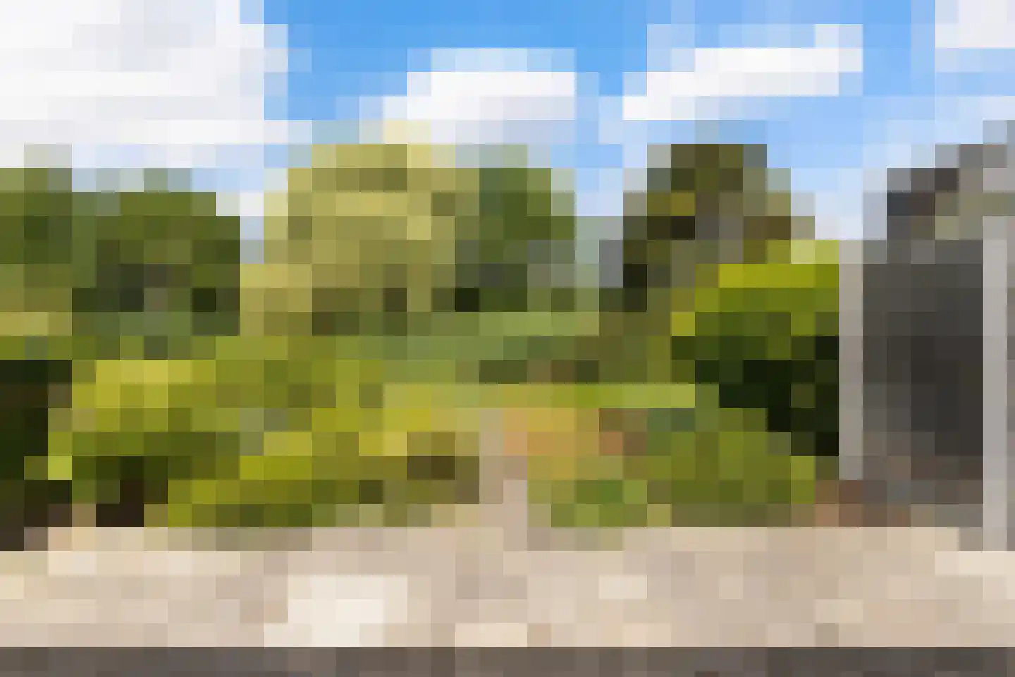 Trasmolen 50 Papendrecht thumbnail 33