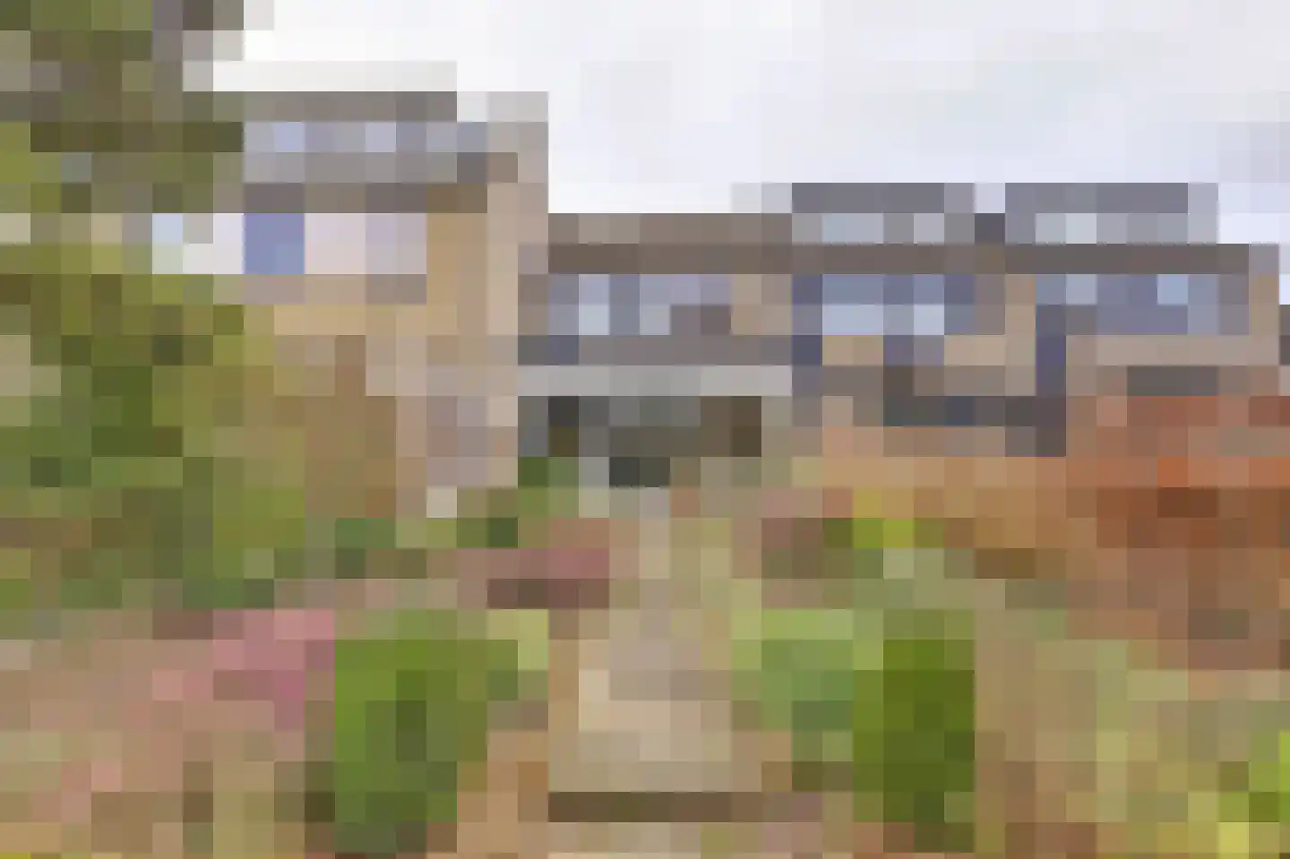 Trasmolen 50 Papendrecht thumbnail 34