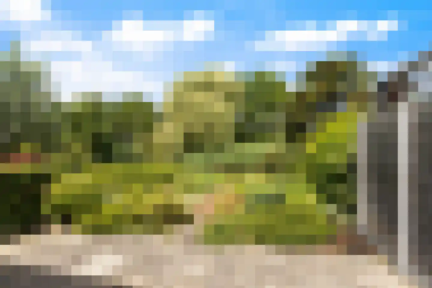 Trasmolen 50 Papendrecht thumbnail 34