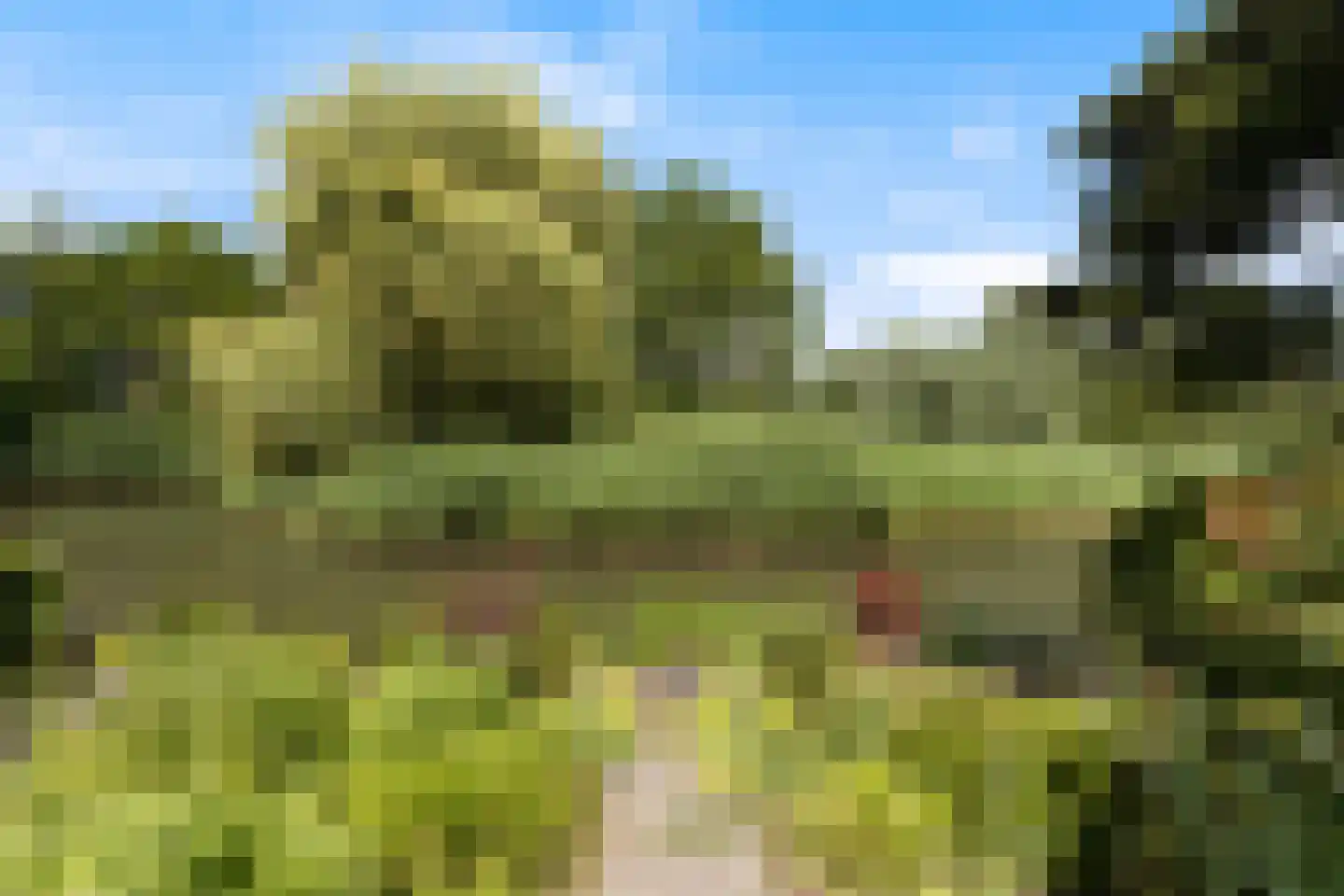 Trasmolen 50 Papendrecht thumbnail 35
