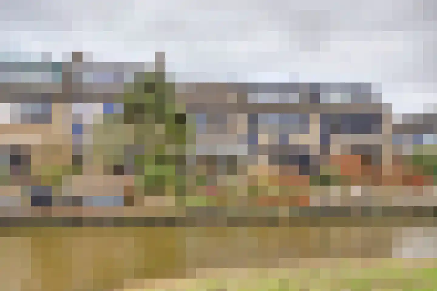 Trasmolen 50 Papendrecht thumbnail 35