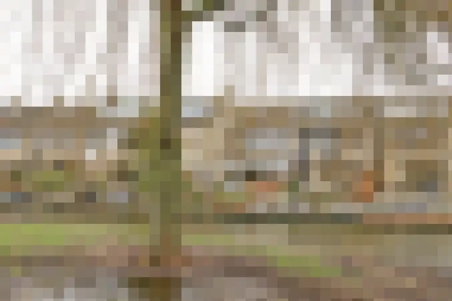 Trasmolen 50 Papendrecht thumbnail 36