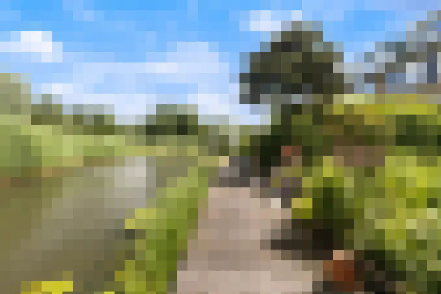 Trasmolen 50 Papendrecht thumbnail 36