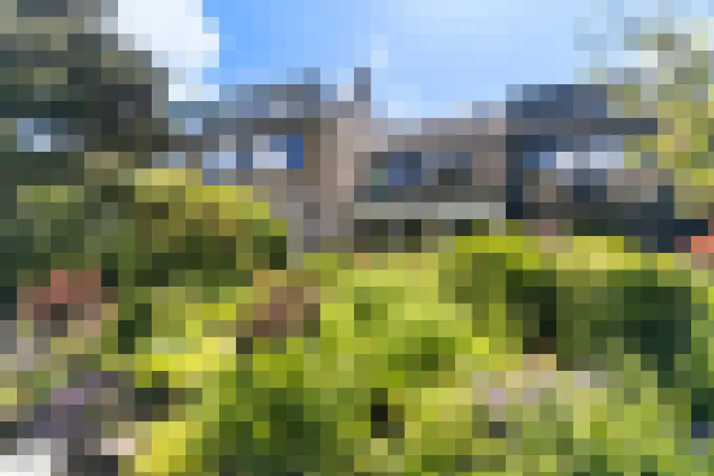 Trasmolen 50 Papendrecht thumbnail 37