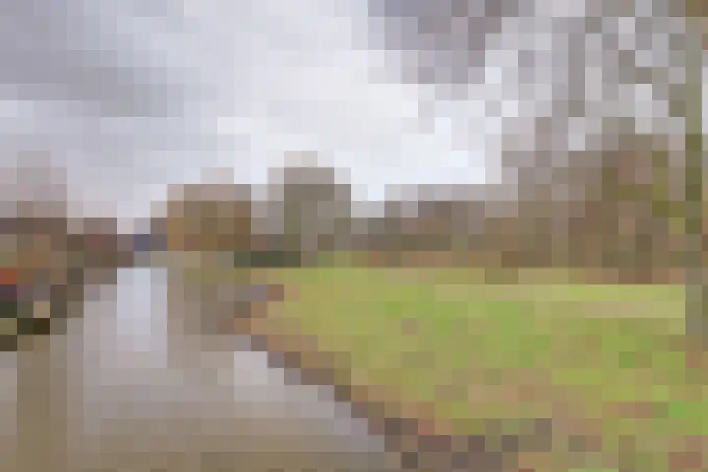 Trasmolen 50 Papendrecht thumbnail 38