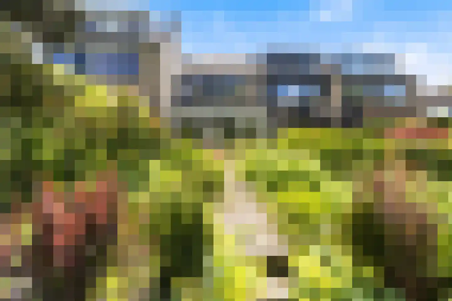 Trasmolen 50 Papendrecht thumbnail 38