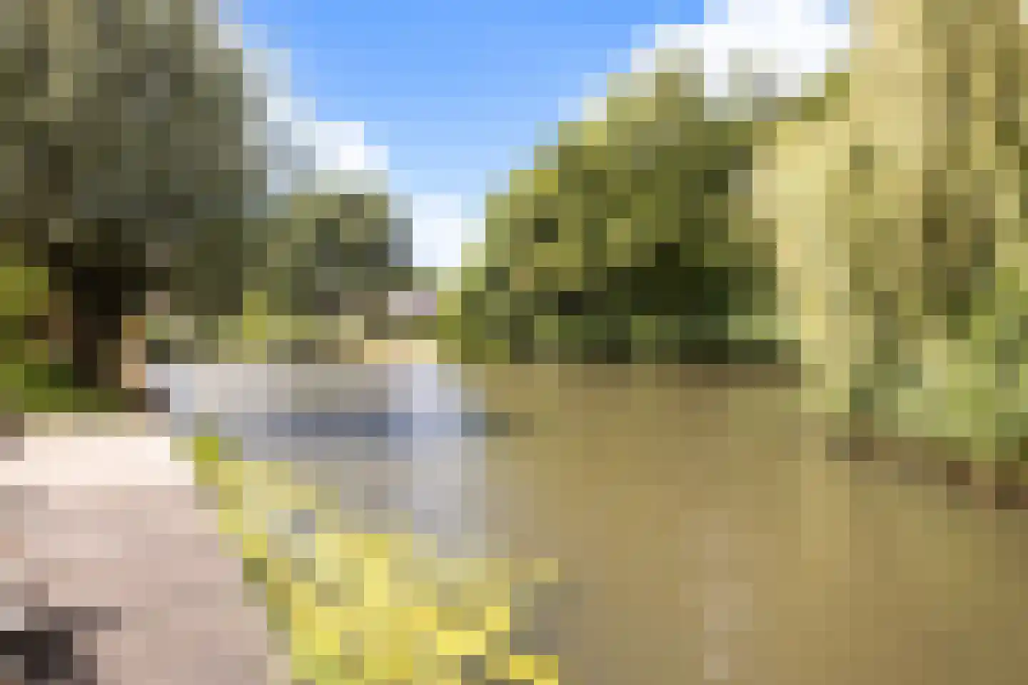 Trasmolen 50 Papendrecht thumbnail 39