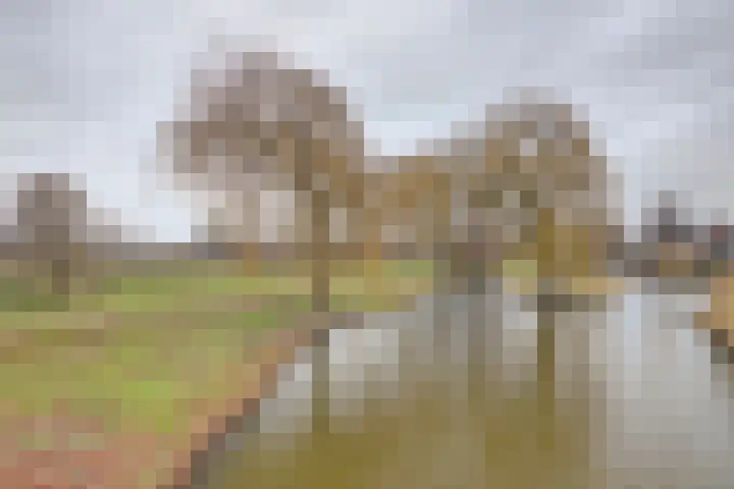 Trasmolen 50 Papendrecht thumbnail 4
