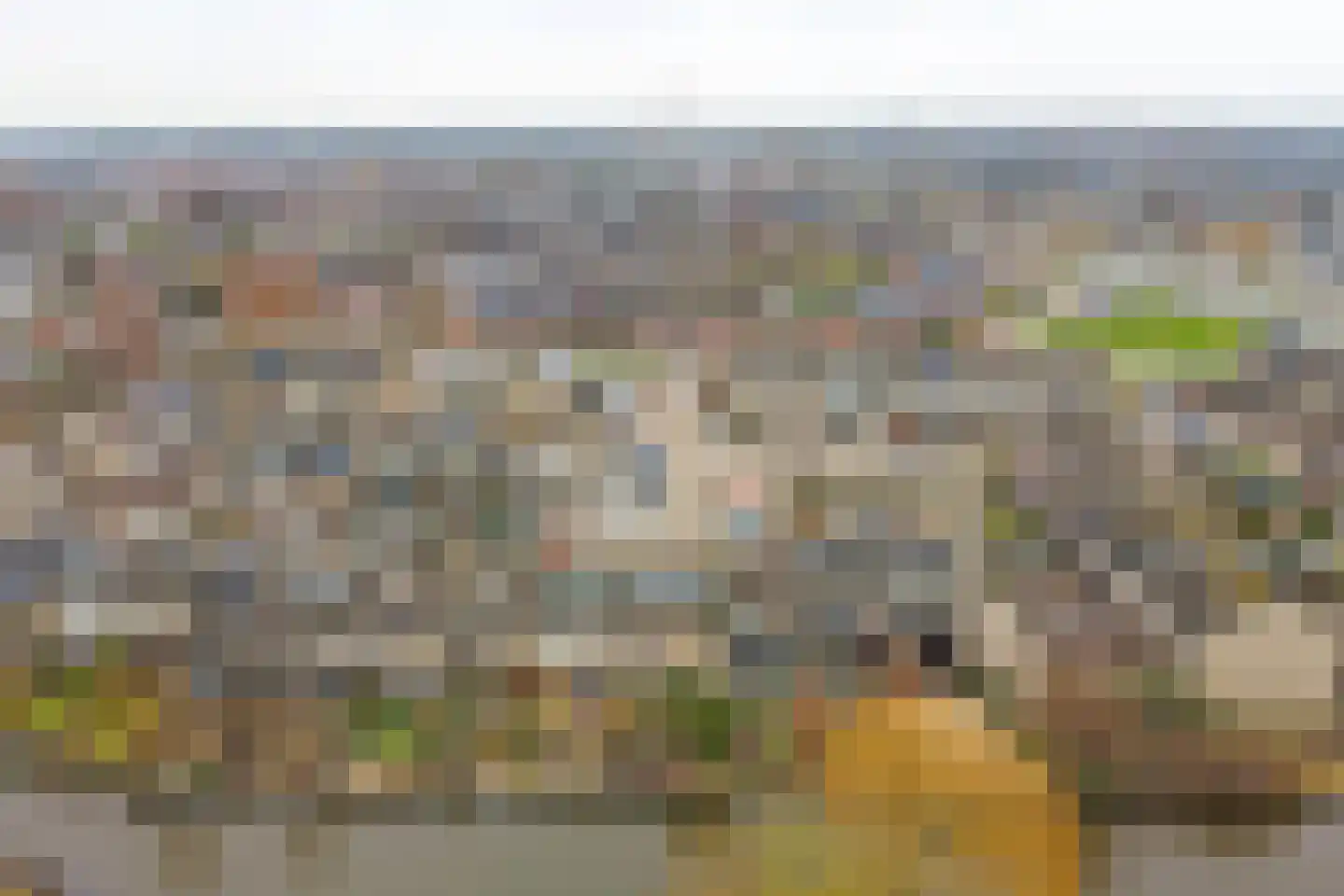 Trasmolen 50 Papendrecht thumbnail 40