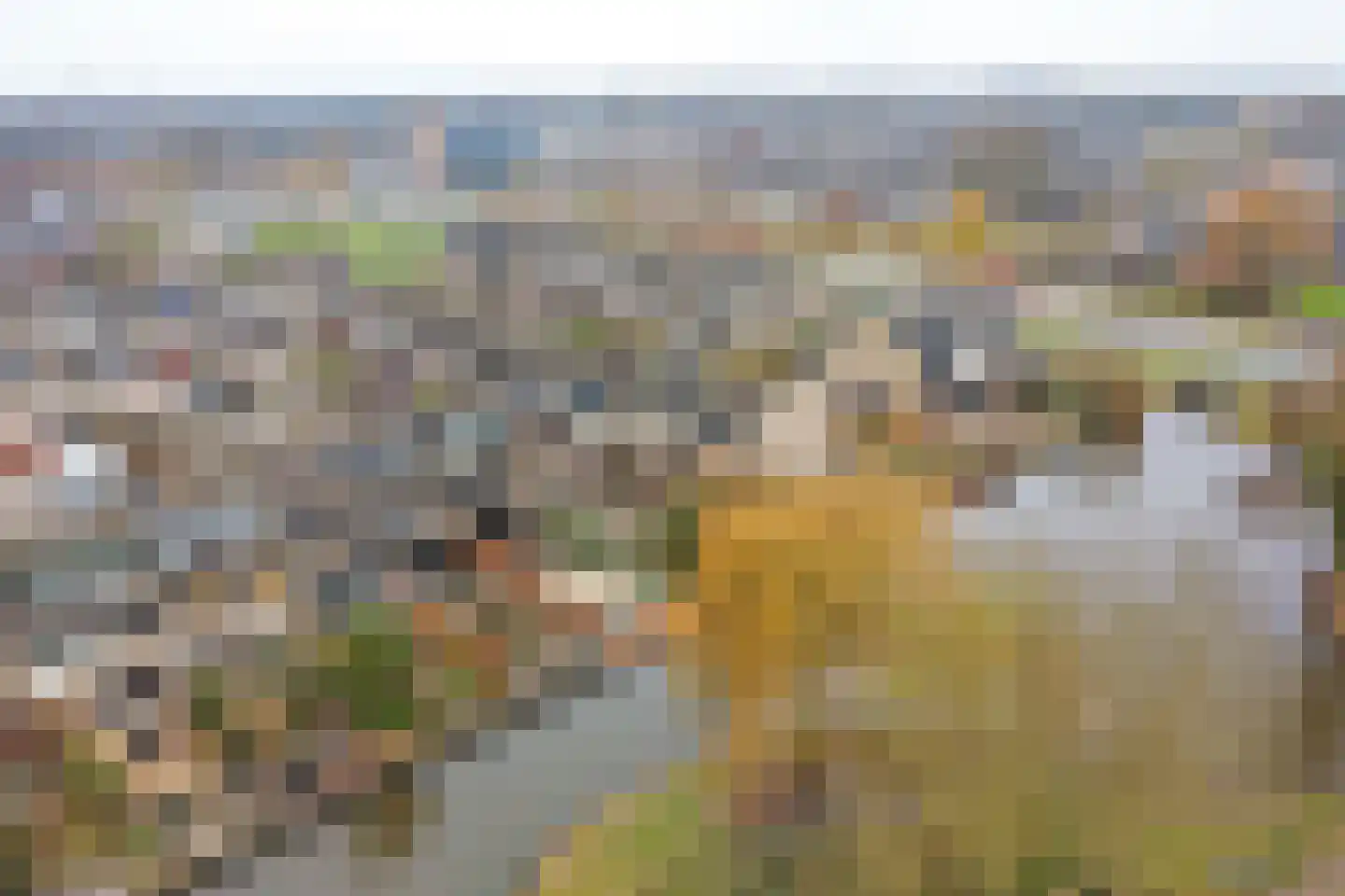 Trasmolen 50 Papendrecht thumbnail 41