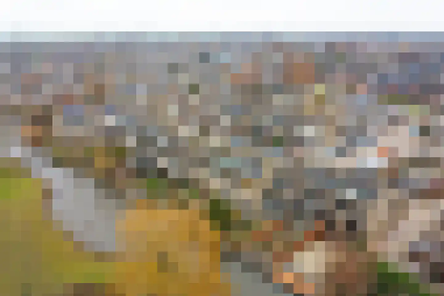 Trasmolen 50 Papendrecht thumbnail 42