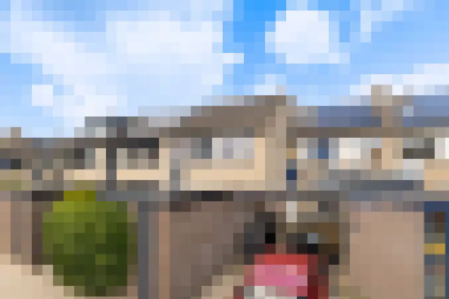 Trasmolen 50 Papendrecht thumbnail 42