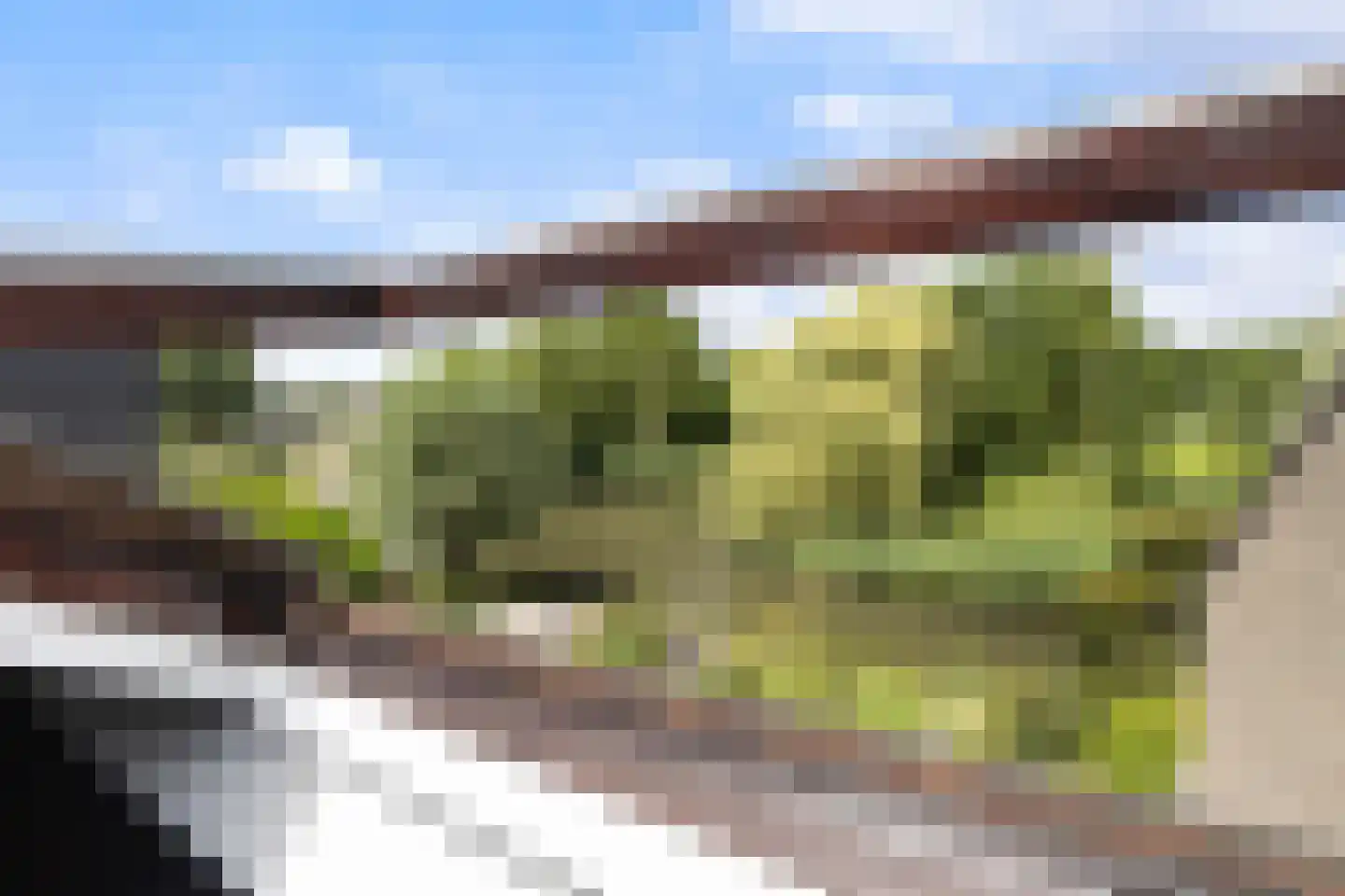 Trasmolen 50 Papendrecht thumbnail 44
