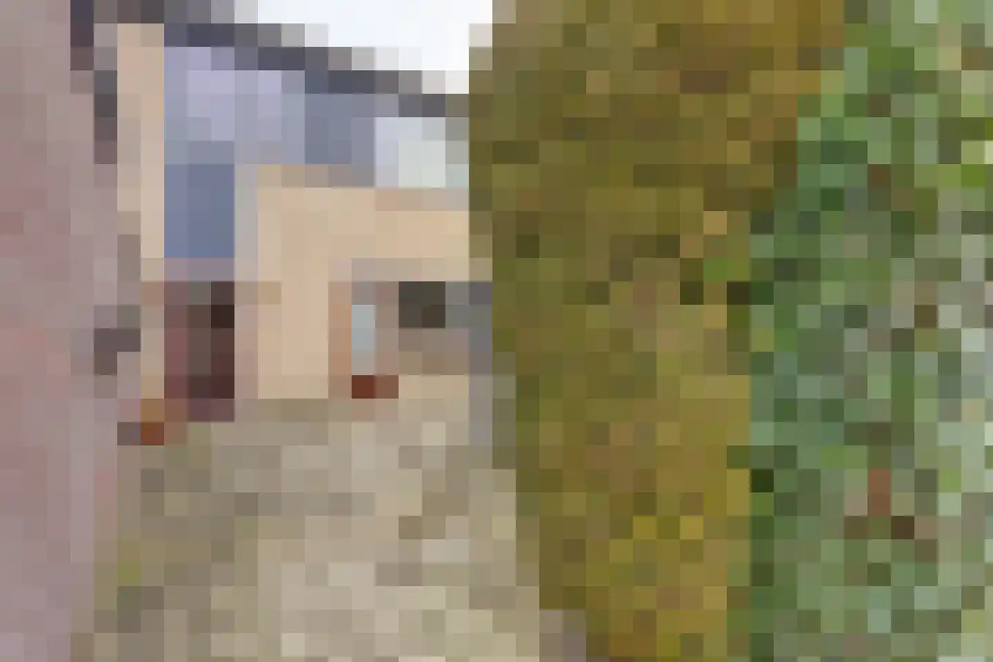 Trasmolen 50 Papendrecht thumbnail 45
