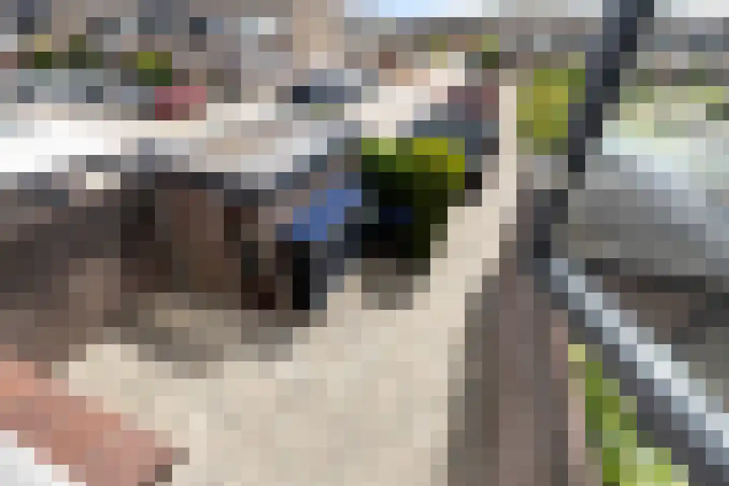 Trasmolen 50 Papendrecht thumbnail 45
