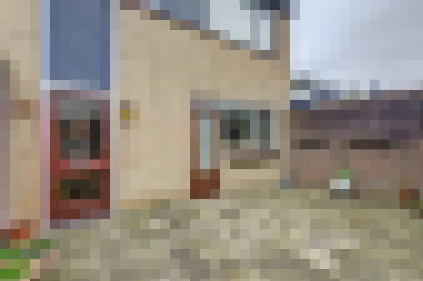 Trasmolen 50 Papendrecht thumbnail 46