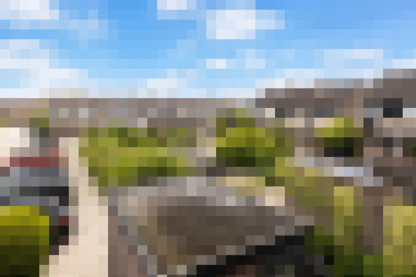 Trasmolen 50 Papendrecht thumbnail 48