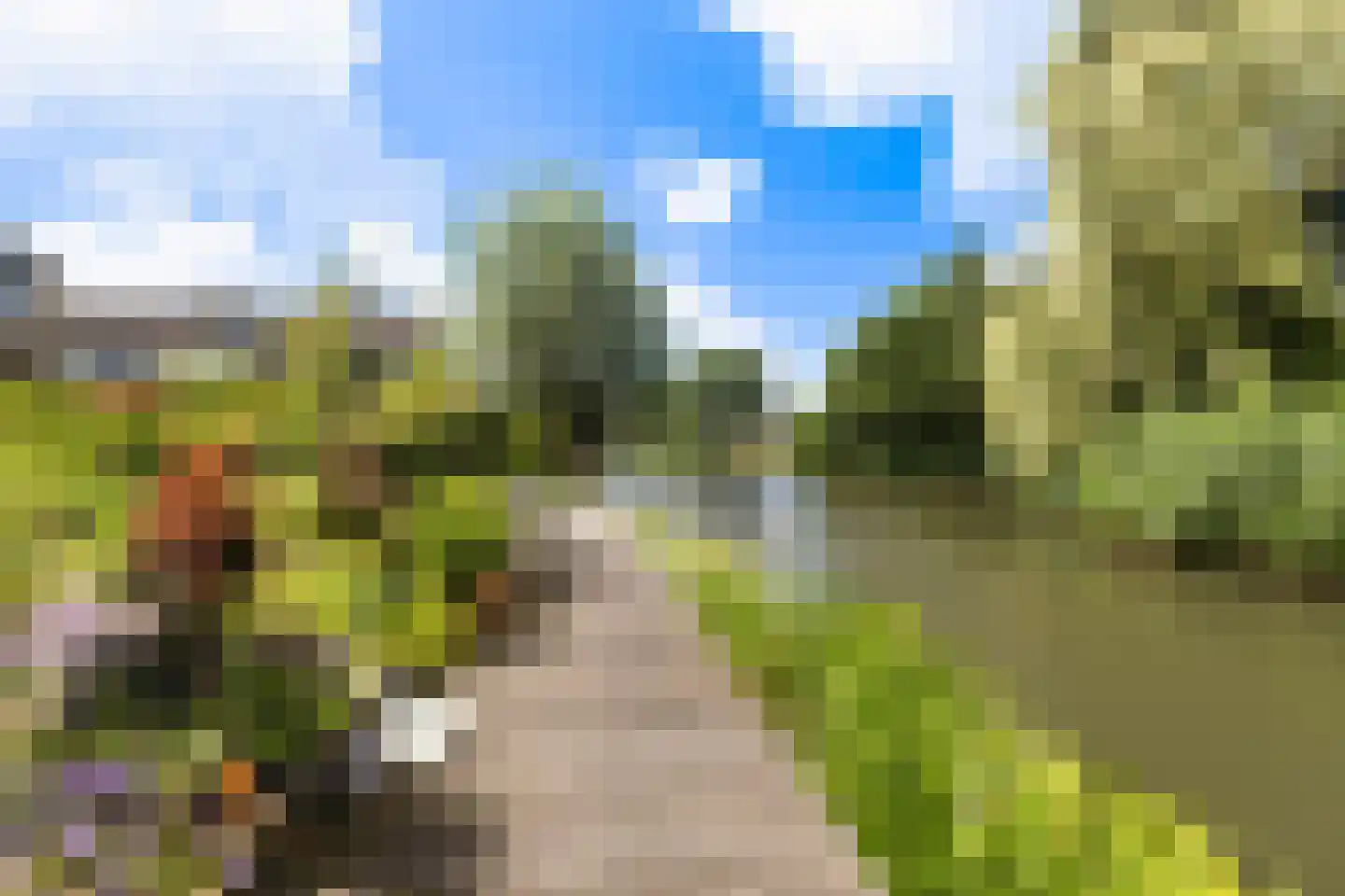Trasmolen 50 Papendrecht thumbnail 5
