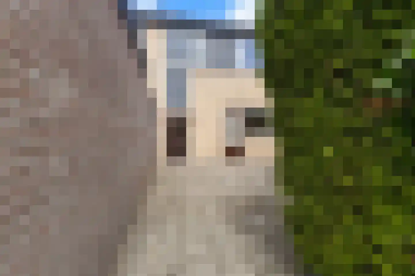 Trasmolen 50 Papendrecht thumbnail 6
