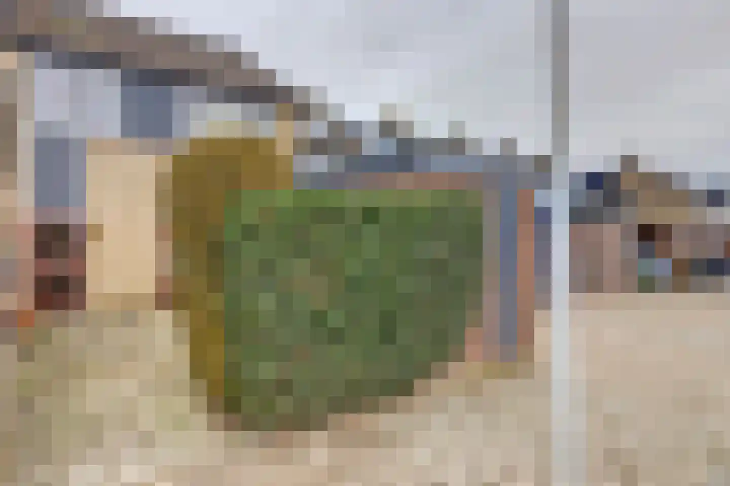 Trasmolen 50 Papendrecht thumbnail 6
