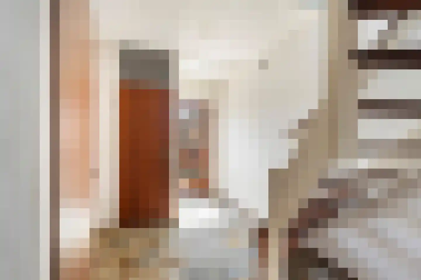 Trasmolen 50 Papendrecht thumbnail 8