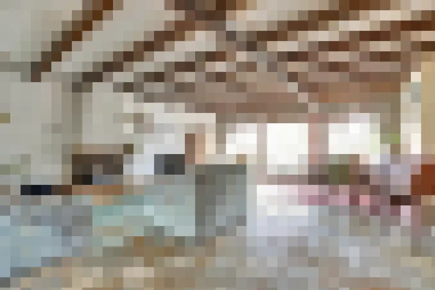 Trasmolen 50 Papendrecht thumbnail 9