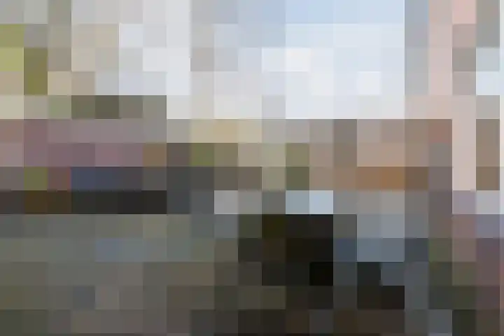 Trasmolen 67 Heerhugowaard thumbnail 26