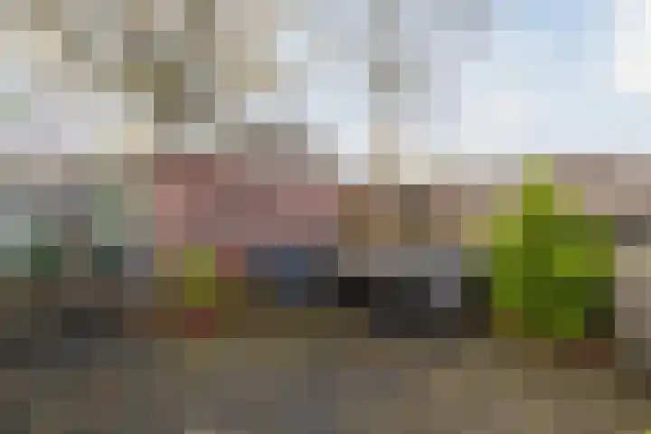 Trasmolen 67 Heerhugowaard thumbnail 27