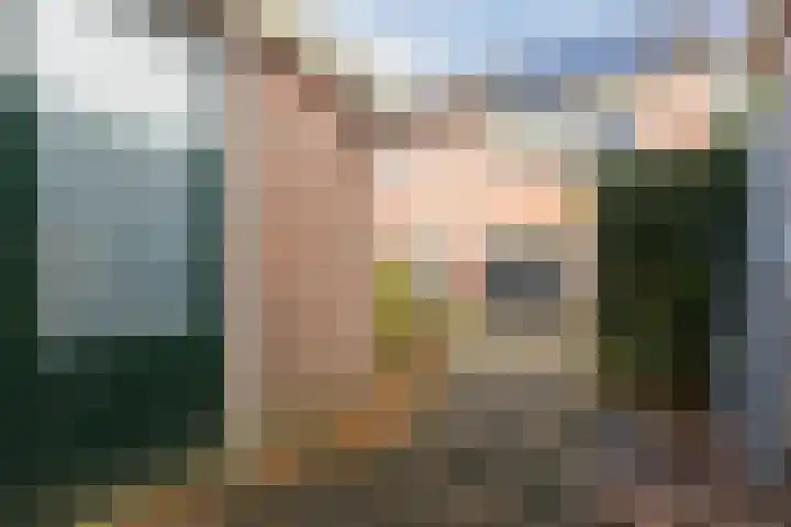 Trasmolen 67 Heerhugowaard thumbnail 28
