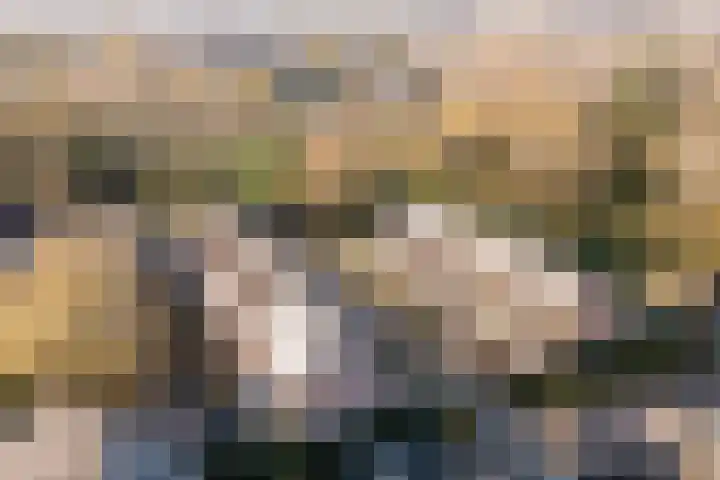 Trasmolen 67 Heerhugowaard thumbnail 32