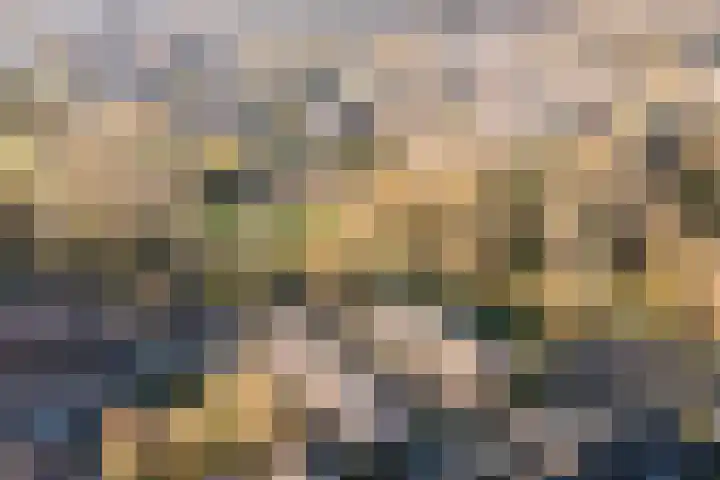 Trasmolen 67 Heerhugowaard thumbnail 33
