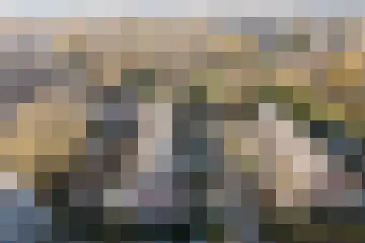 Trasmolen 67 Heerhugowaard thumbnail 34