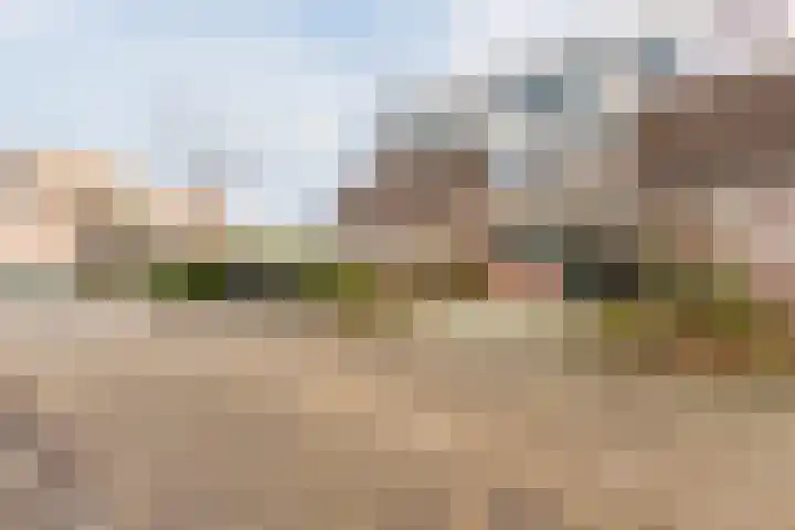 Trasmolen 67 Heerhugowaard thumbnail 37
