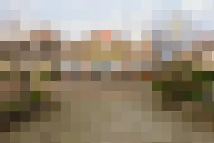 Trasmolen 67 Heerhugowaard thumbnail 38