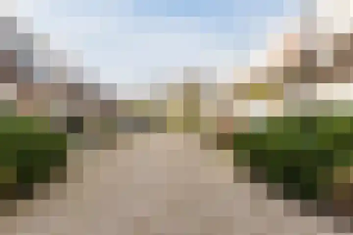 Trasmolen 67 Heerhugowaard thumbnail 39