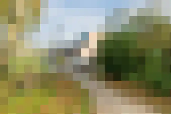 Trasmolen 67 Heerhugowaard thumbnail 40