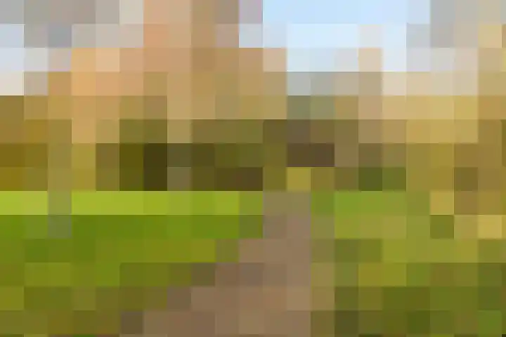Trasmolen 67 Heerhugowaard thumbnail 41