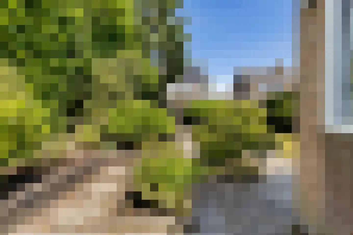 Trasraamsteen 13 Delfzijl thumbnail 12