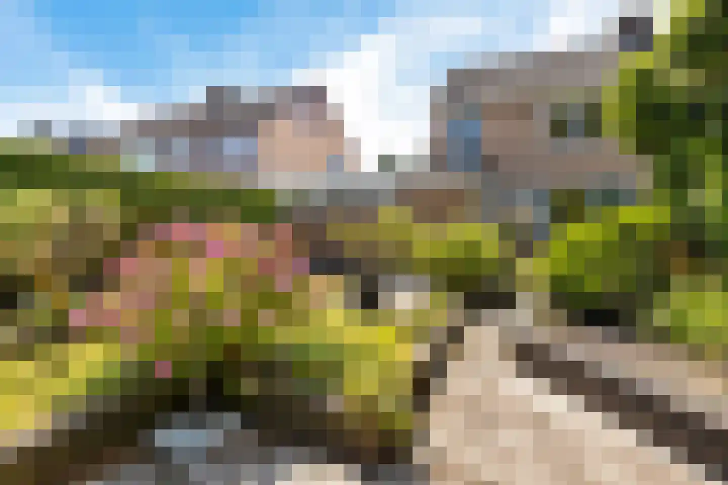 Trasraamsteen 13 Delfzijl thumbnail 13
