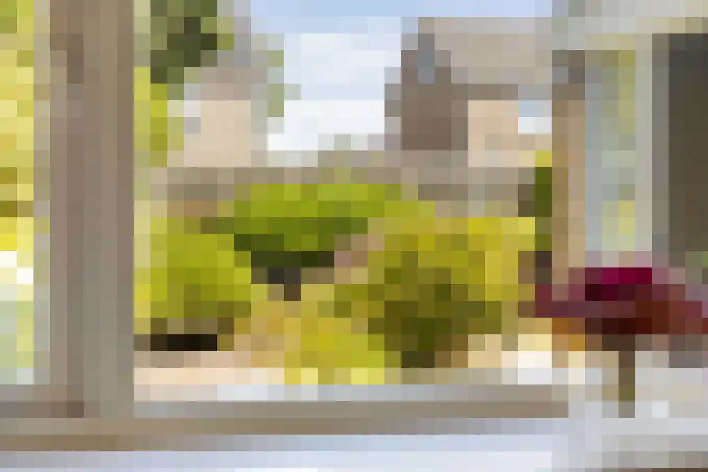 Trasraamsteen 13 Delfzijl thumbnail 25