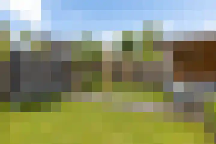 Trasraamsteen 8 Delfzijl thumbnail 13
