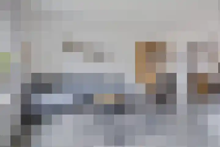 Trasraamsteen 8 Delfzijl thumbnail 22