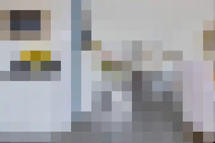 Trasraamsteen 8 Delfzijl thumbnail 27