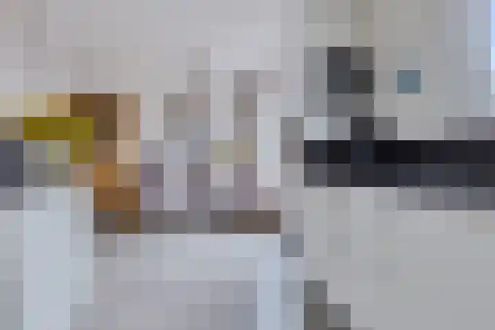 Trasraamsteen 8 Delfzijl thumbnail 28