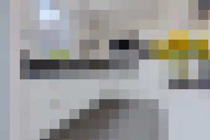 Trasraamsteen 8 Delfzijl thumbnail 29
