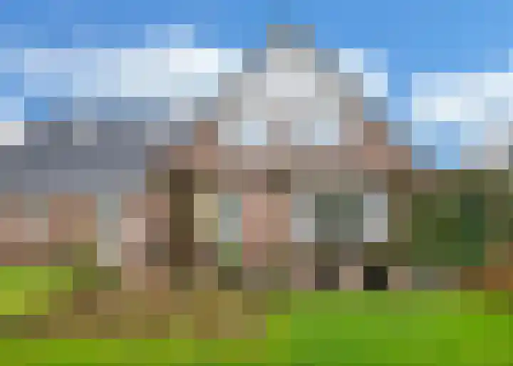 Travalje 4 Heerhugowaard thumbnail 34