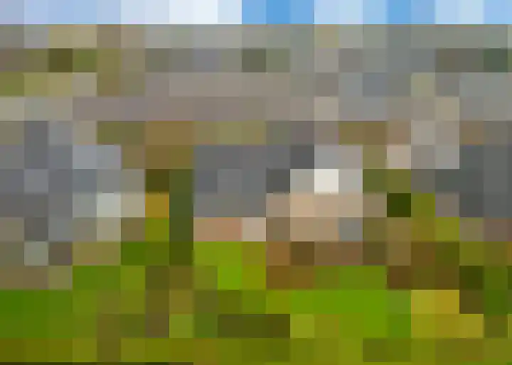 Travalje 4 Heerhugowaard thumbnail 39
