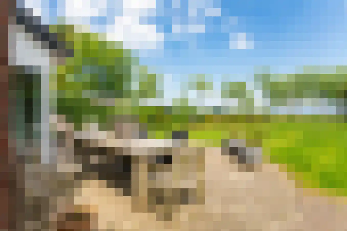Travers 1 Naarden thumbnail 29