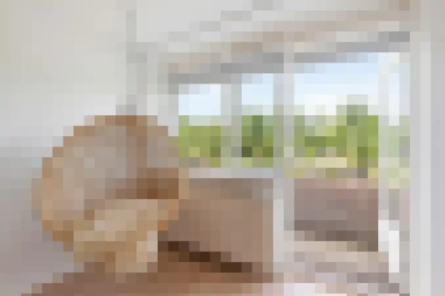 Travers 11 Naarden thumbnail 37
